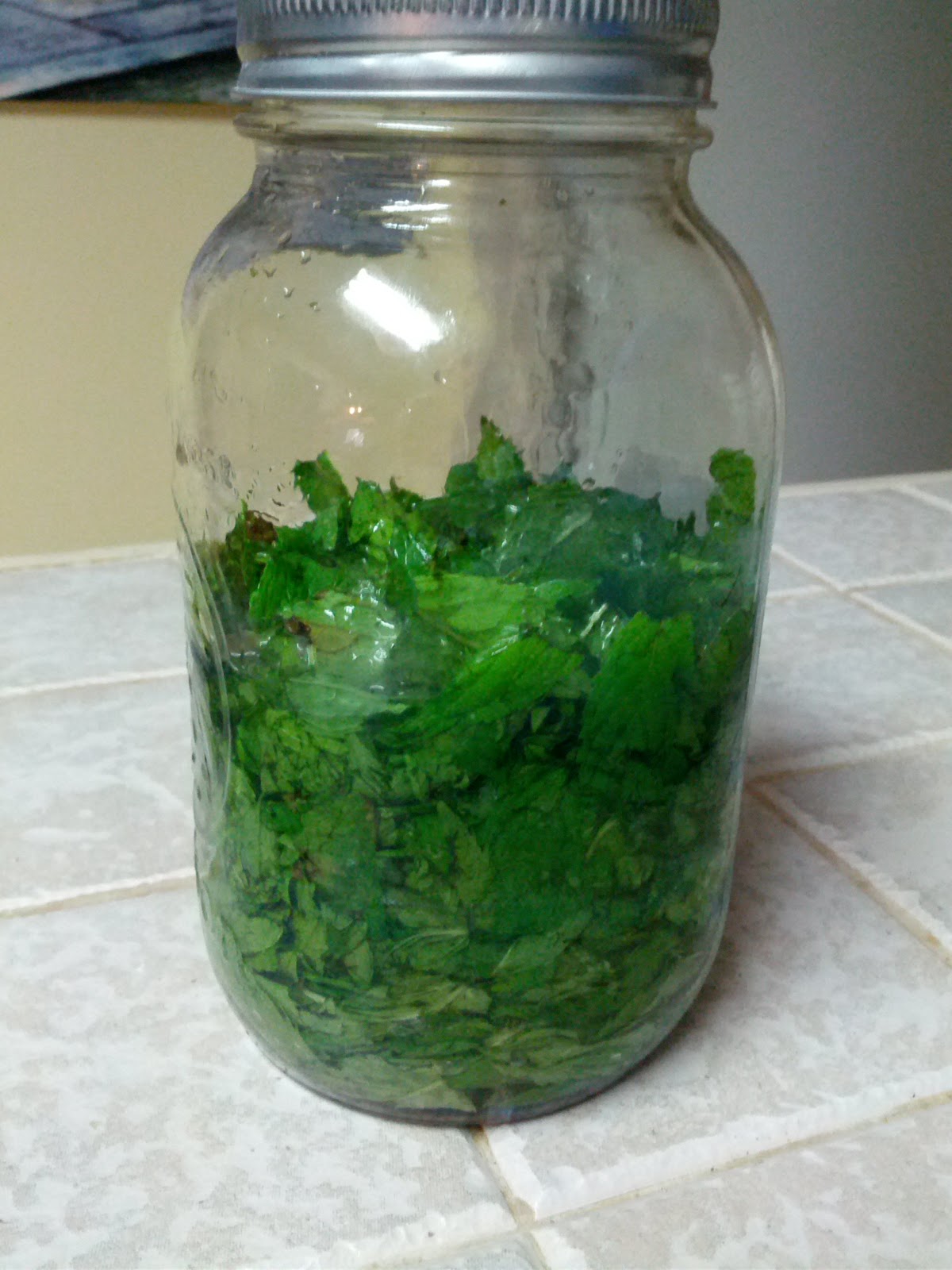 DIY Mint Extract