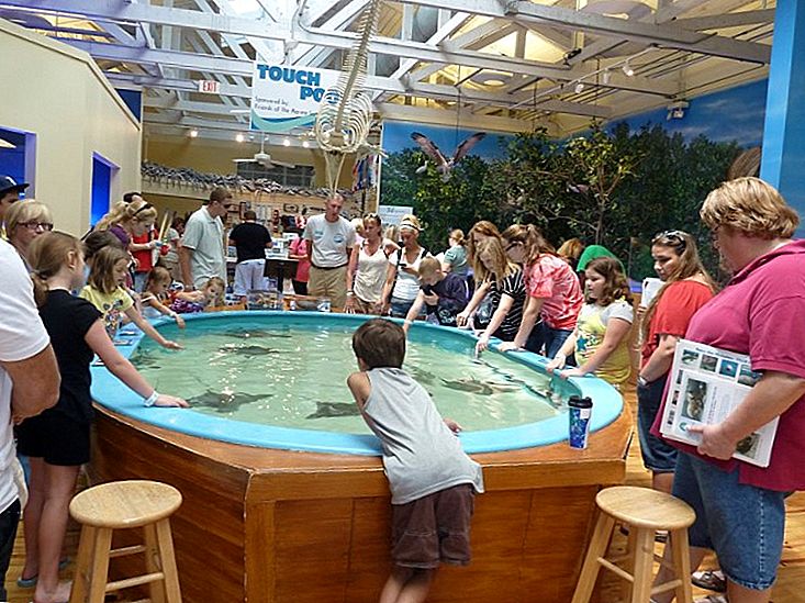 Top 10 Best Aquariums in Florida (with Map & Photos)