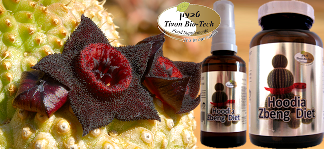 דיאטת הודיה להרזיה והצרת היקפים טבעון