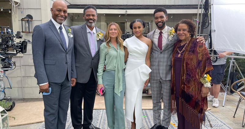 Grey's Anatomy 17x17 Recap: “Someone Saved My Life Tonight” (A Year in  Review) [Contributor: Julia Siegel] ~ Just About Write