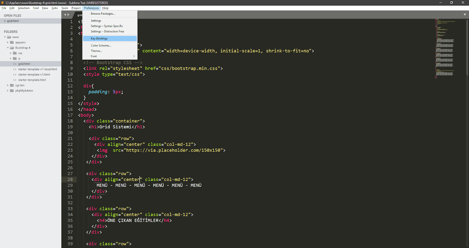 Source txt. Код Sublime text. Sublime text html CSS коды. Sublime text ключ. Написание программы в Sublime text.