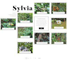 Sylvia Magazine (discontinued website)