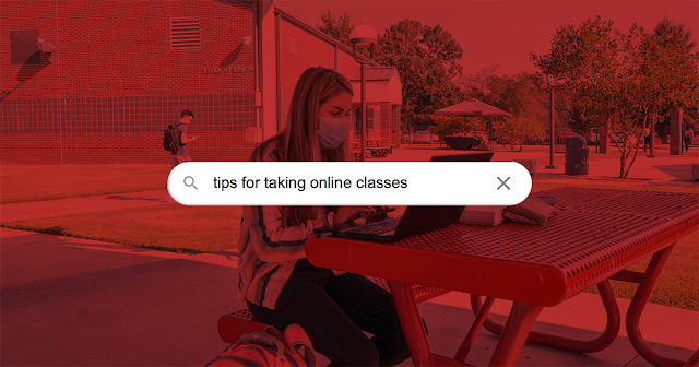 a students sits at a bench with a loptop open