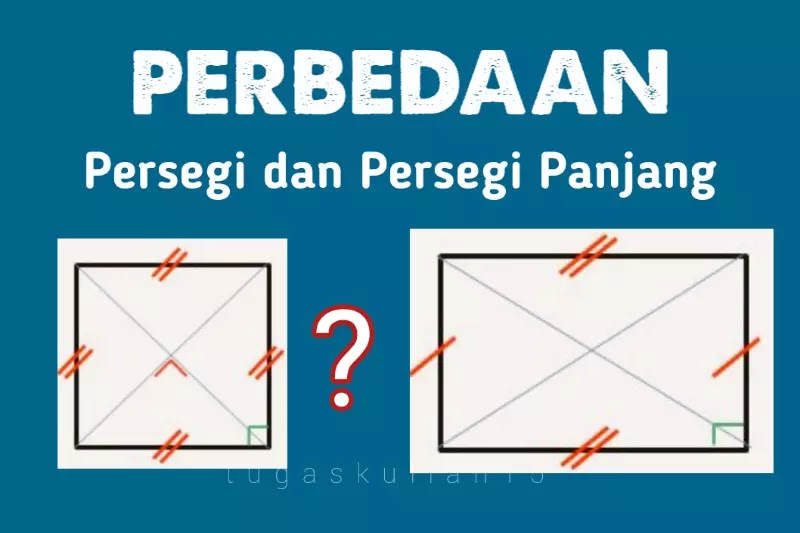 Perbedaan Persegi Dan Persegi Panjang Tugas Dan Materi Kuliah