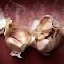 The Health Benefits of Garlic
