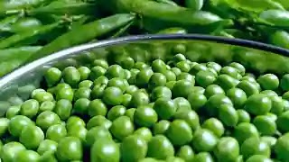 Can Green Peas Improve Your Health and Lose Weight?