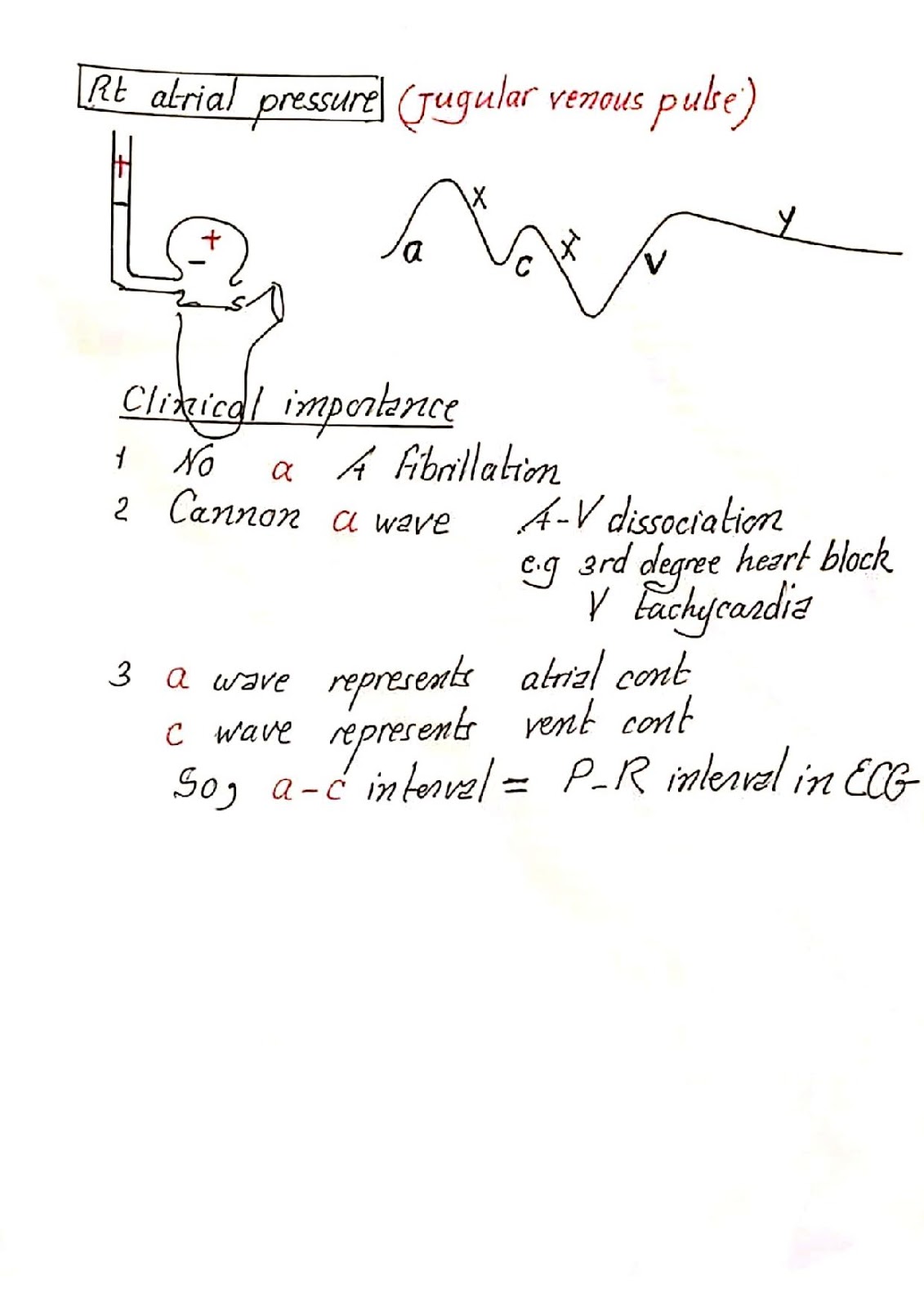 شرح عملي لرسم القلب cardio+diagrams تخطيط القلب في كبسولة | دكتور عمار خليل