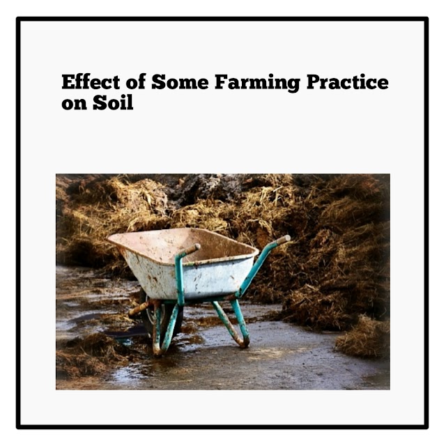 Effect of Some Farming Practice on Soil