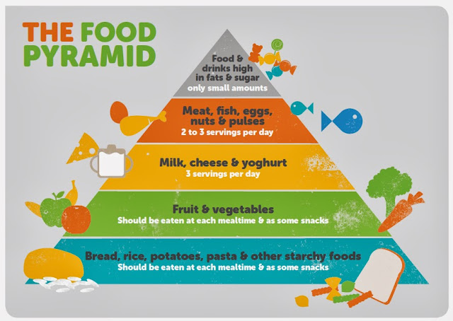 The Food Pyramid for Toddlers