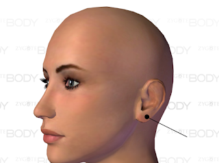 Acupressure points for Fainting