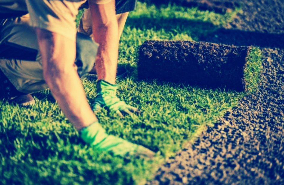 Grow Your Landscaping Business a Guide