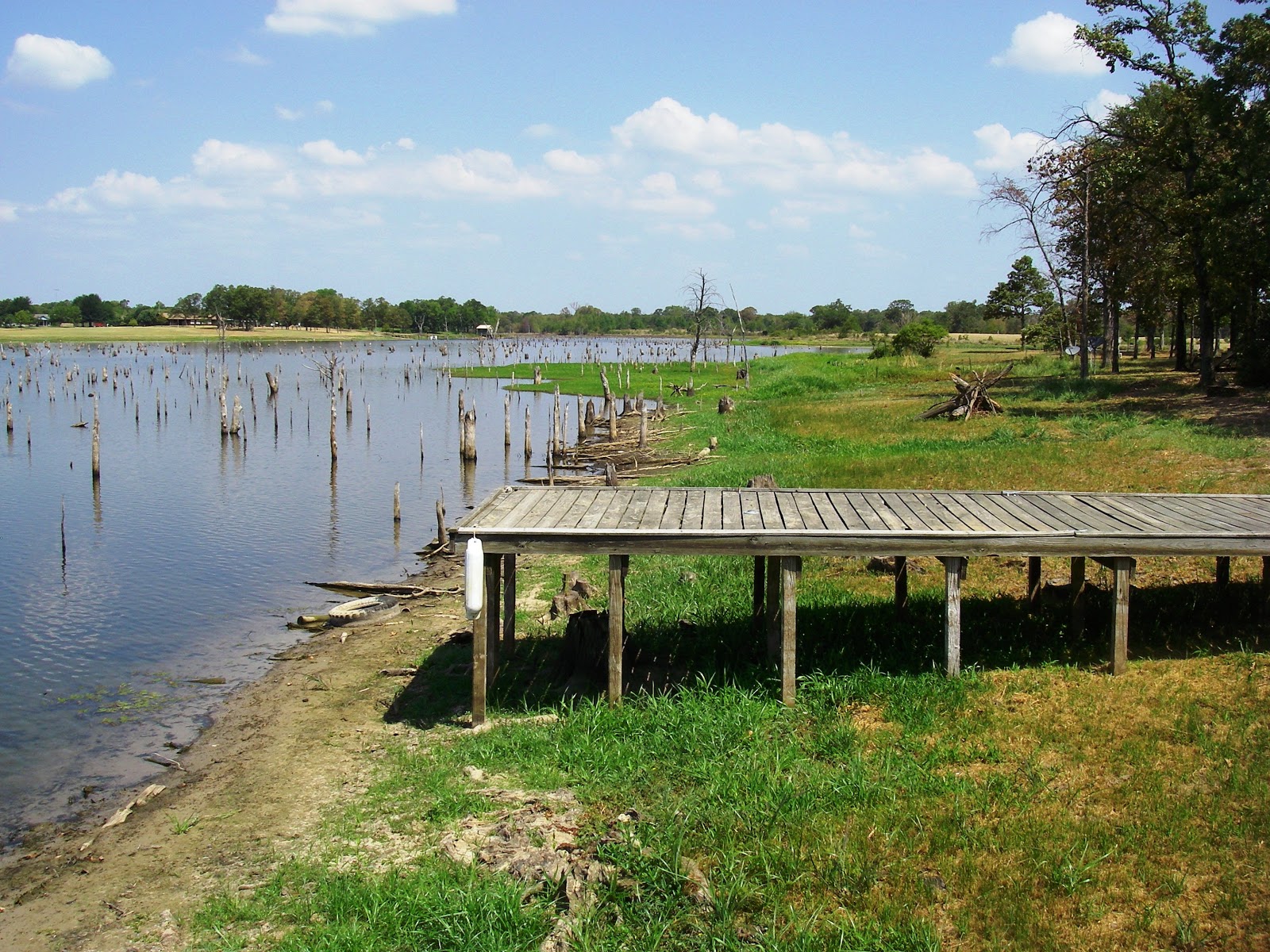FishOn! the Fly Lake Fork in July