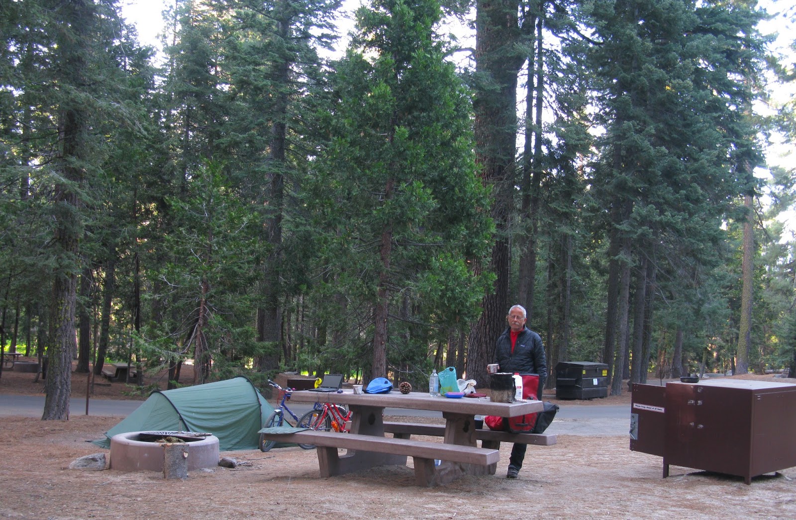 Trail Life: Kalifornien 4: Vom Kings Canyon/Sequoia National Park nach