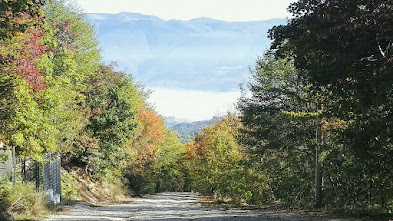 viaggio nelle marche