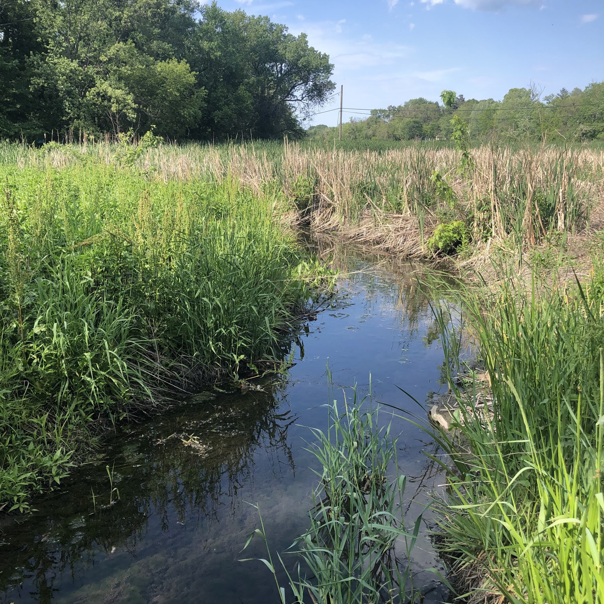 A Little Time and a Keyboard Local Art Pop Up and Nature Trails Charm
