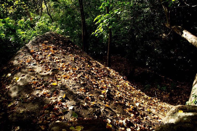 අතීත උරුම රැසක් පිරි - පියංගල ආරණ්‍ය සේනාසනය ☸️🙏☸️🍃 (Piyangala Aranya Denasanaya) - Your Choice Way