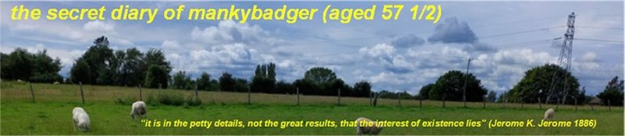The Secret Diary of Manky Badger