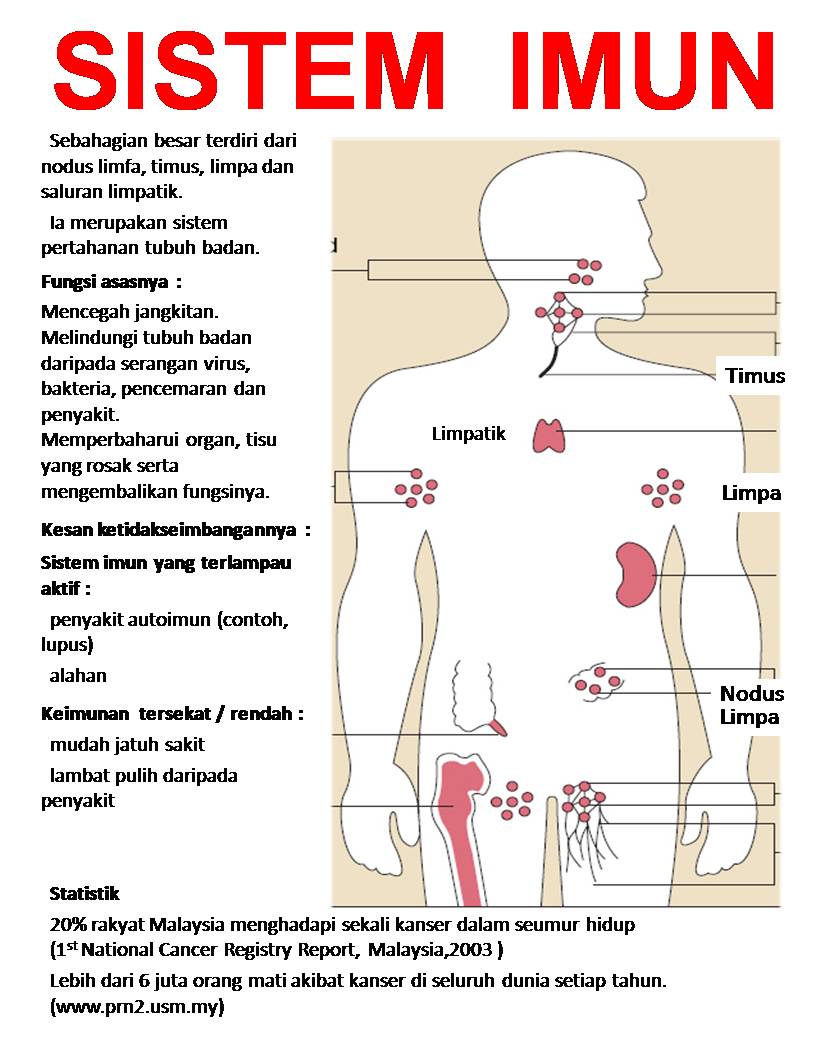 Anda dan pertahanan imuniti virus sebagai dalam bakteria komponen manakah terhadap sistem bertindak Sistem Komplemen