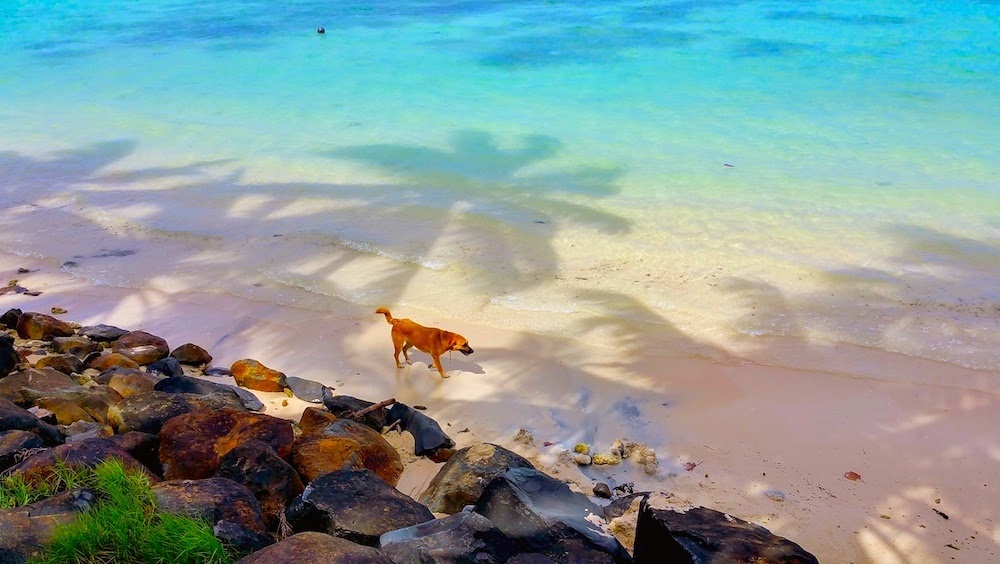 A spasso tra i colori  della Muri Lagoon - foto di Elisa Chisana Hoshi