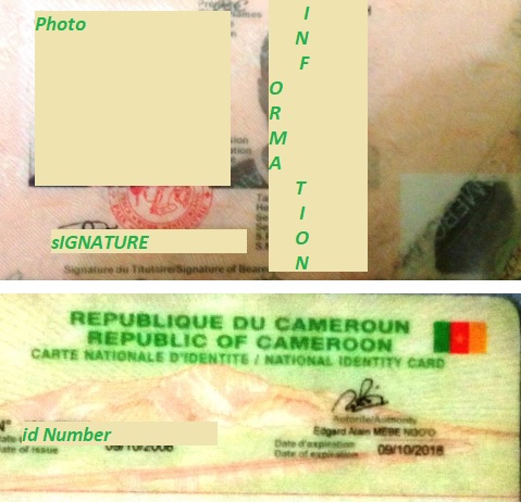 Cameroon Id Card Check Online
