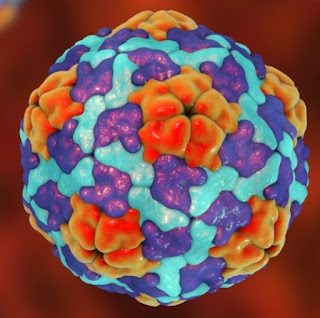 Acute viral hepatitis.How Much We Know About It?