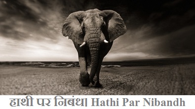 Elephant par essay picture