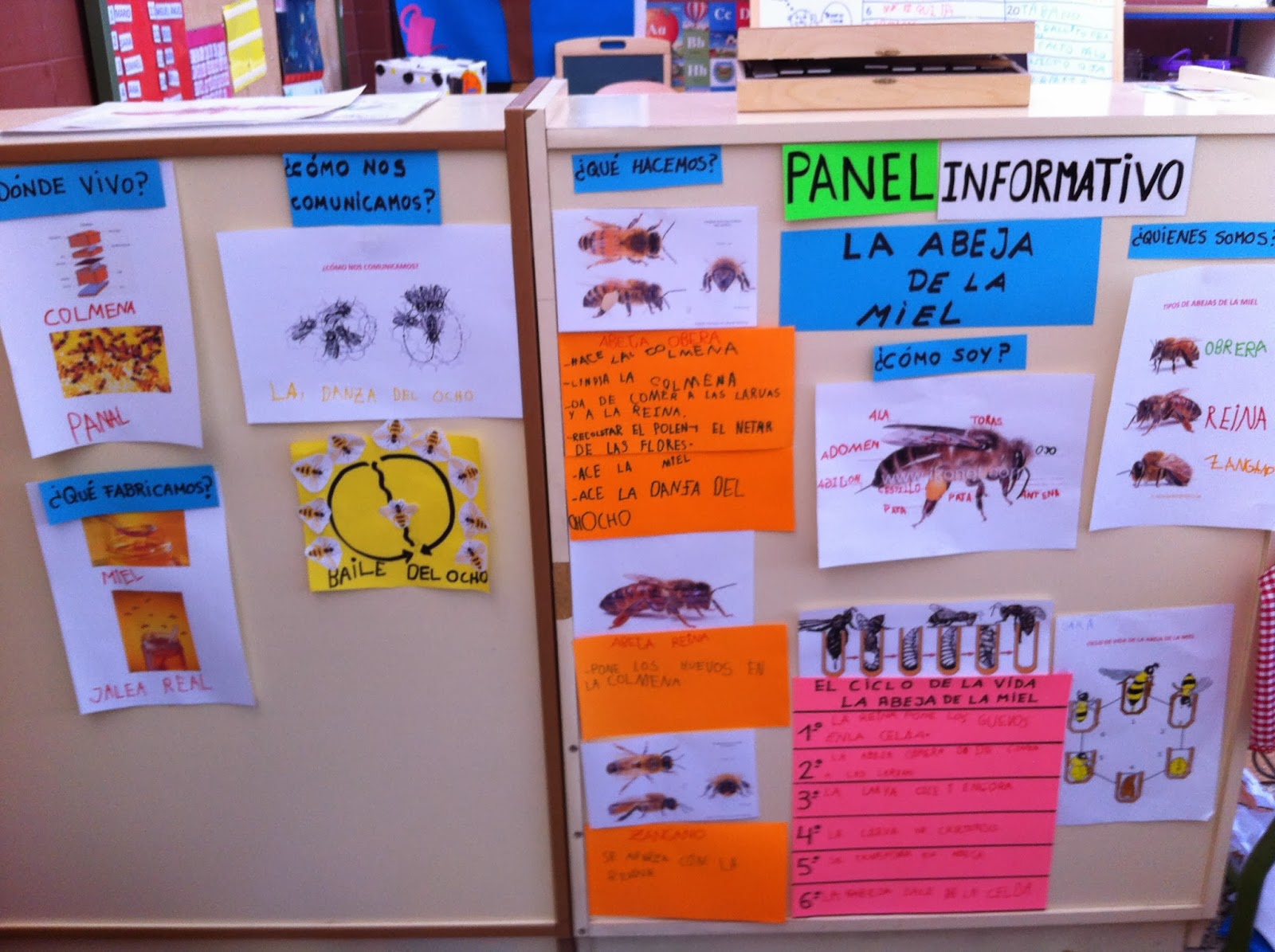 EL SUEÑO DE SER: PANEL INFORMATIVO: LA ABEJA DE LA MIEL