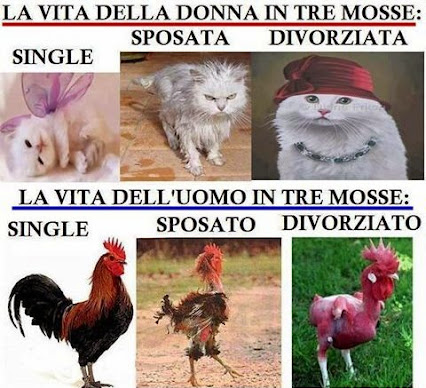 Frasi Di Autostima Divertenti