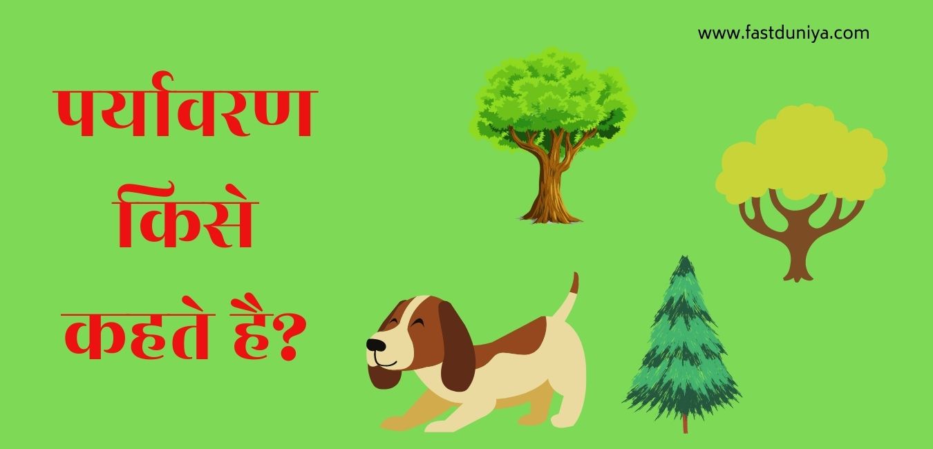 Paryavaran Pradushan Kise Kahate Hain पर्यावरण किसे कहते है? paryavaran kise kahate hain