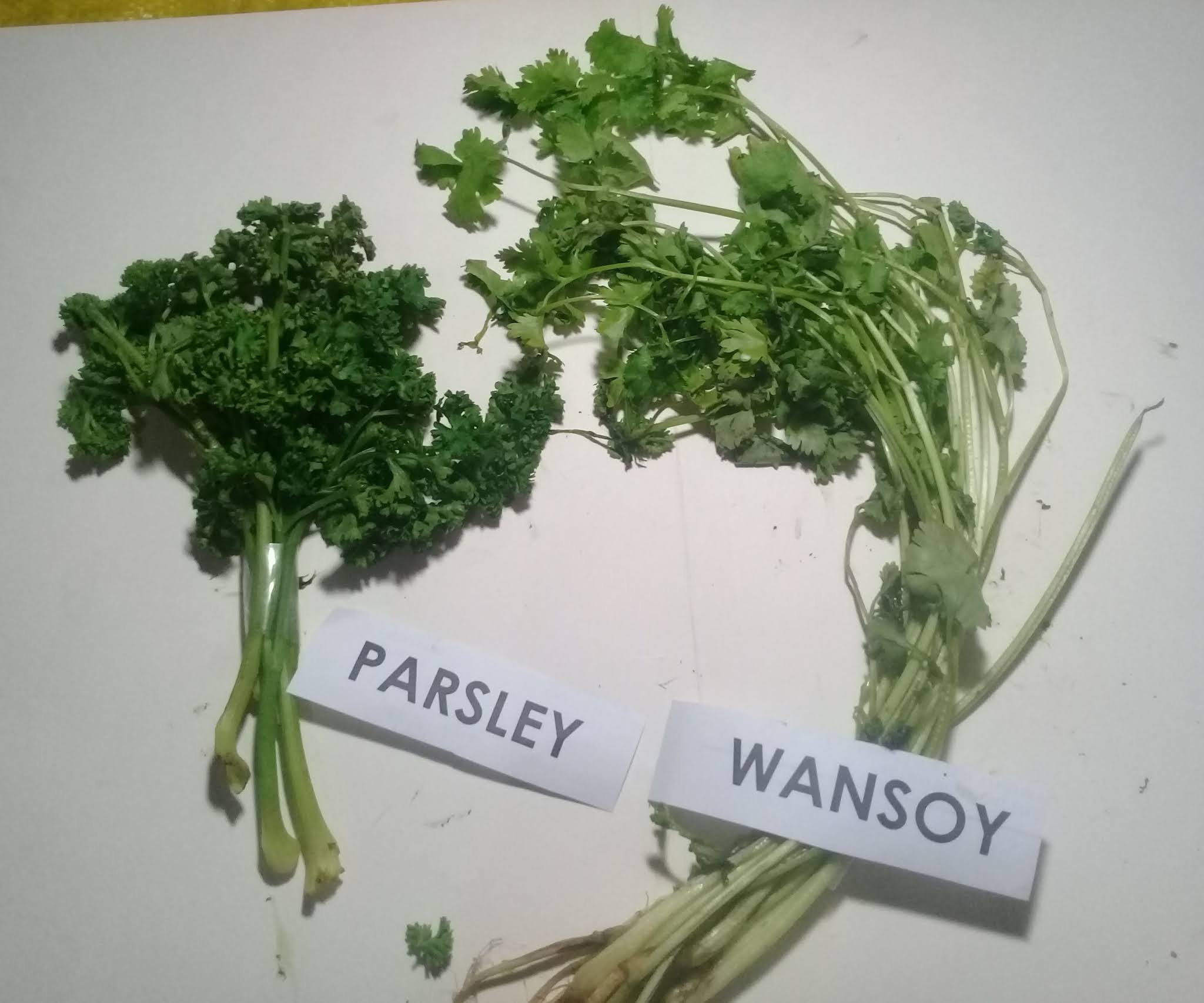 My Body. My Life . My Decision. Are parsley and kinchay / kintsay the