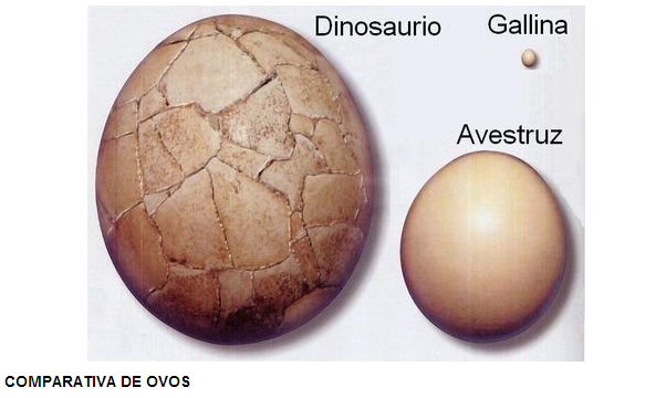 Los Dinosaurios Son Oviparos O Viviparos