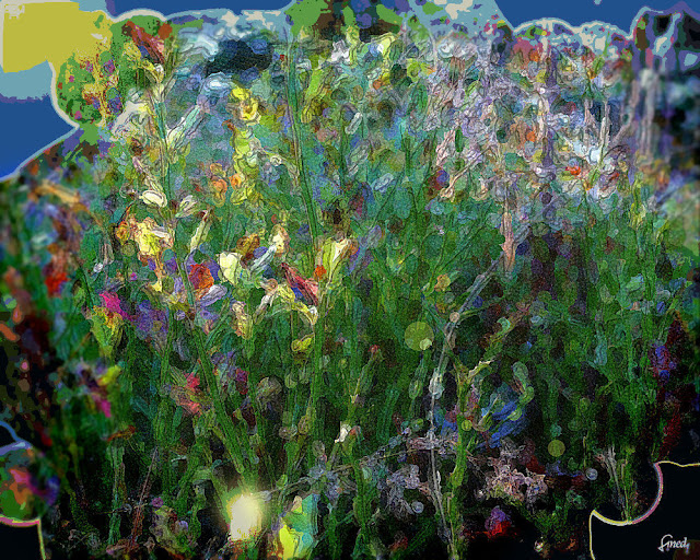 Versmolder Westfalen Blatt Ezeitung Ihre Lokalausgaben Im