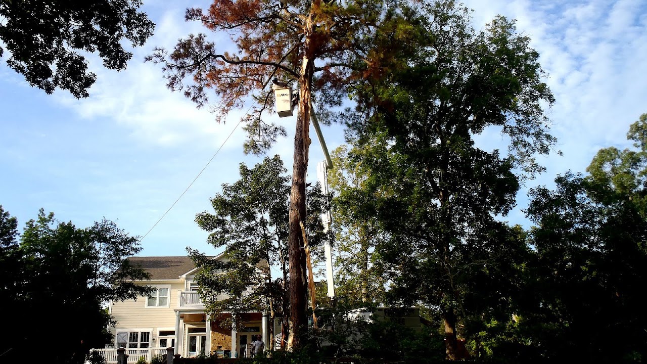 Fitness Tree Service Wilmington Nc Fit Choices