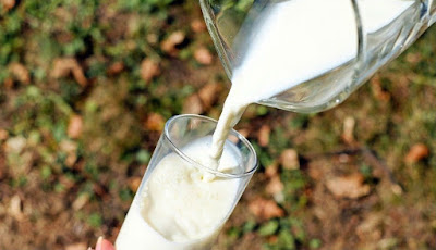 Wanita, Dua Gelas susu Sehari Tingkatkan Risiko Kanker Payudara 80%