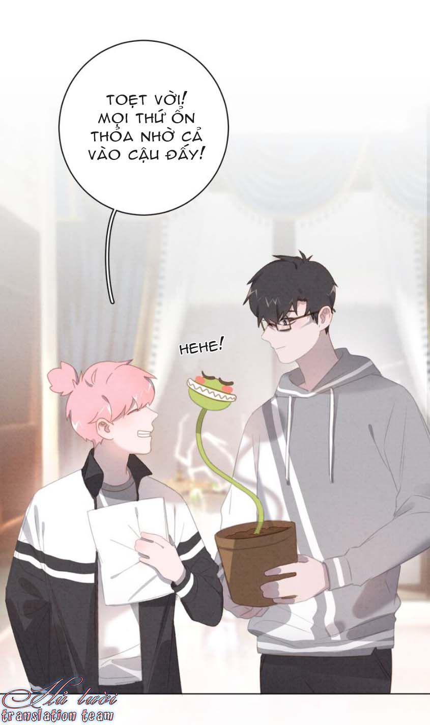 Đọc truyện Thế giới của một chú mèo - Chapter 24