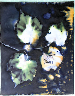 Wet cyanotype -Sue Reno_Image 646