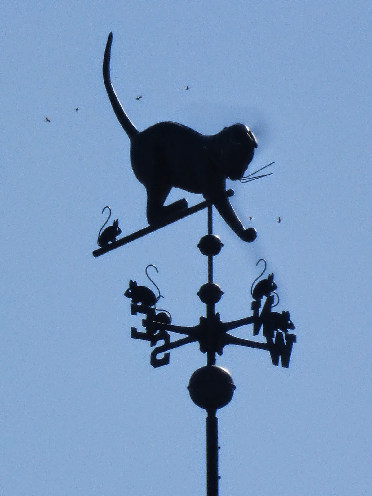 Nutfield Genealogy Weathervane Wednesday A Game of Cat and Mouse