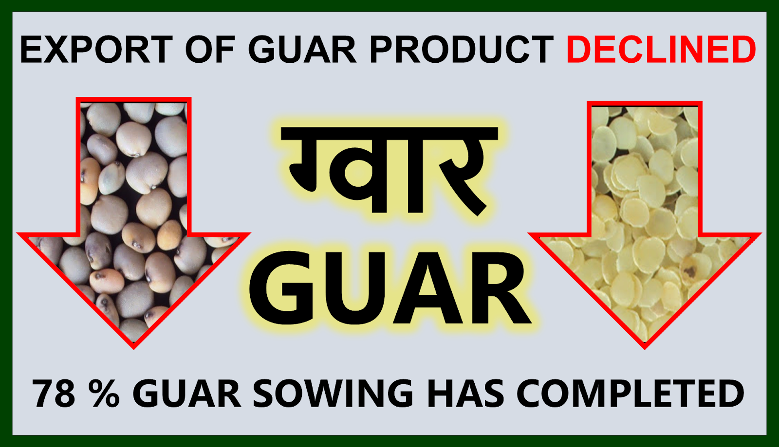 GUAR GUM INFORMATION AND GUAR GUM CULTIVATION IN INDIA Export of guar