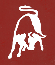 Car information - Cars 2 Run: December 2011