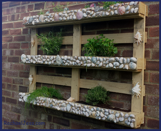 Herb Garden from an upcycled pallet