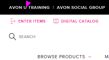 What Is AVON ? U? Training Modules Online For AVON Reps