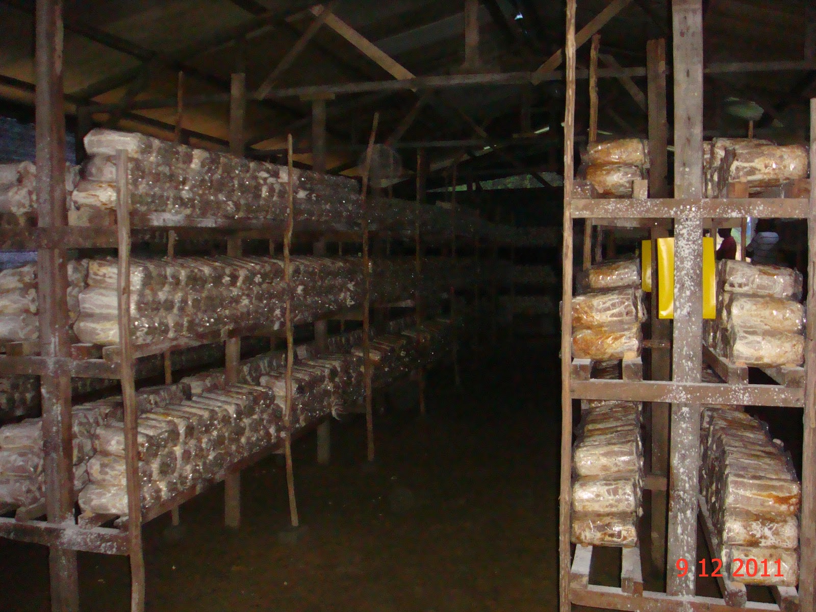 Experimental Farming Mushroom Farm