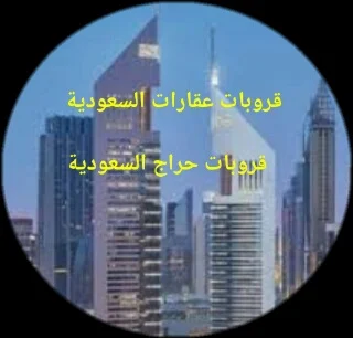 قروبات مكاتب عقارات سعودي