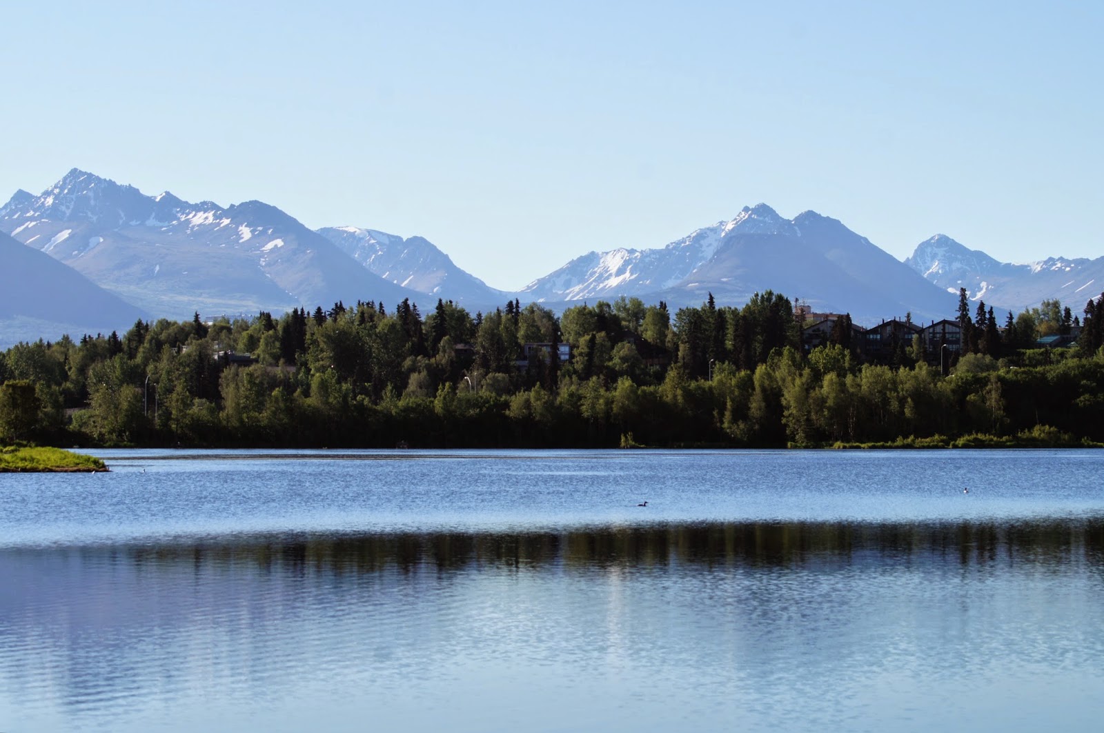 Things with Wings Anchorage's Coastal Trail