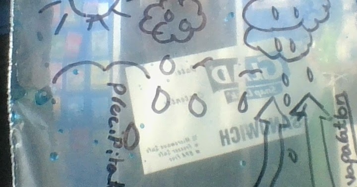 Water Cycle Experiment🌊🌊💧💧