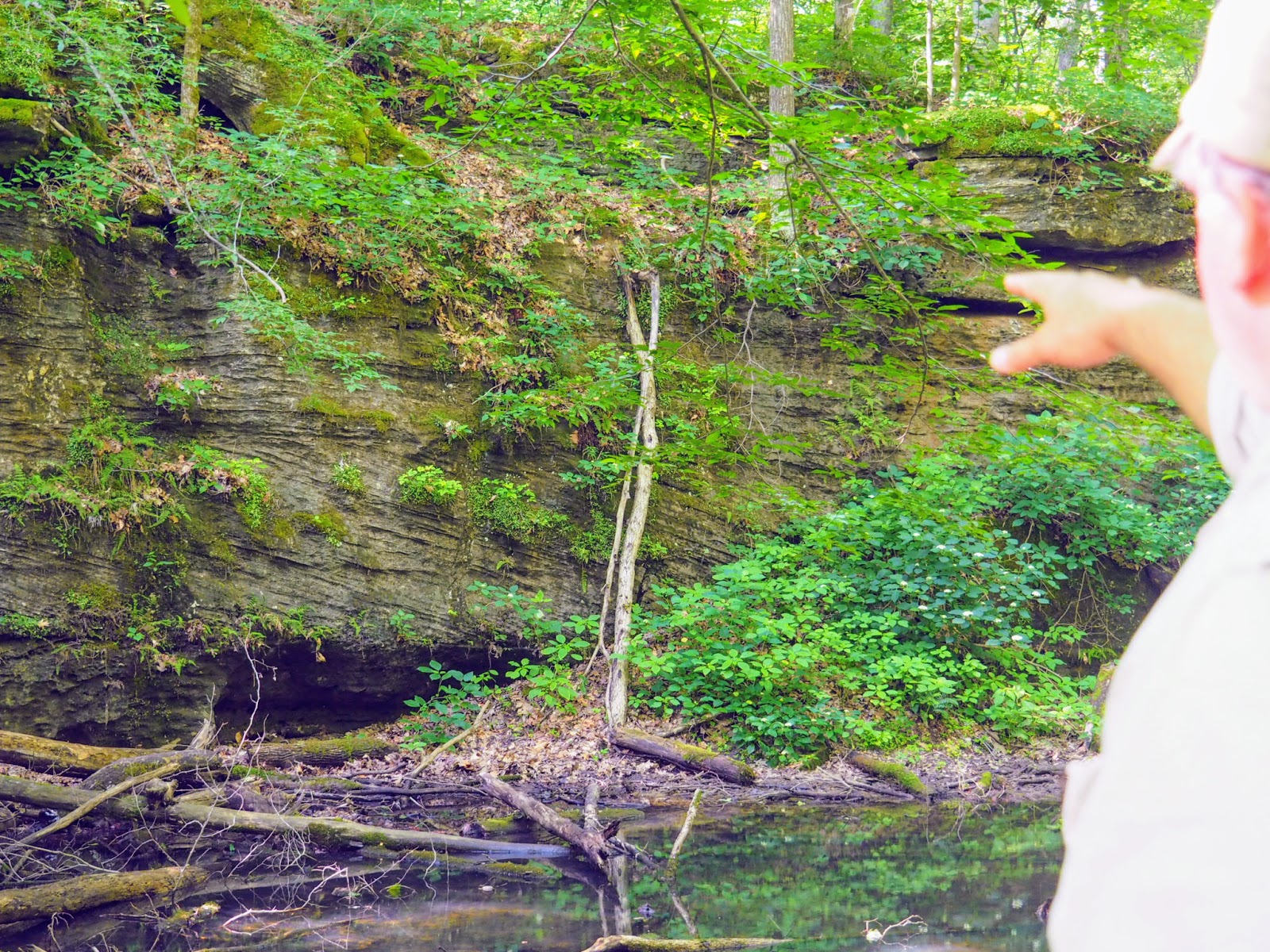 Spencer, IN McCormick's Creek State Park, Old State House Quarry