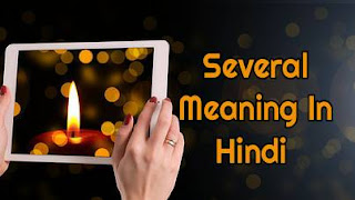 Several Meaning - Several Meaning In Hindi - MEANING IN HINDI
