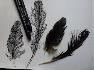 black ink feathers