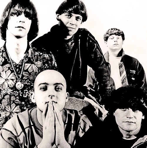 The Commercial Zone Inspiral Carpets