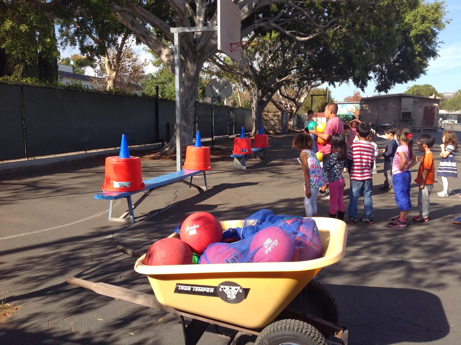 The Earth and a Busy Afternoon